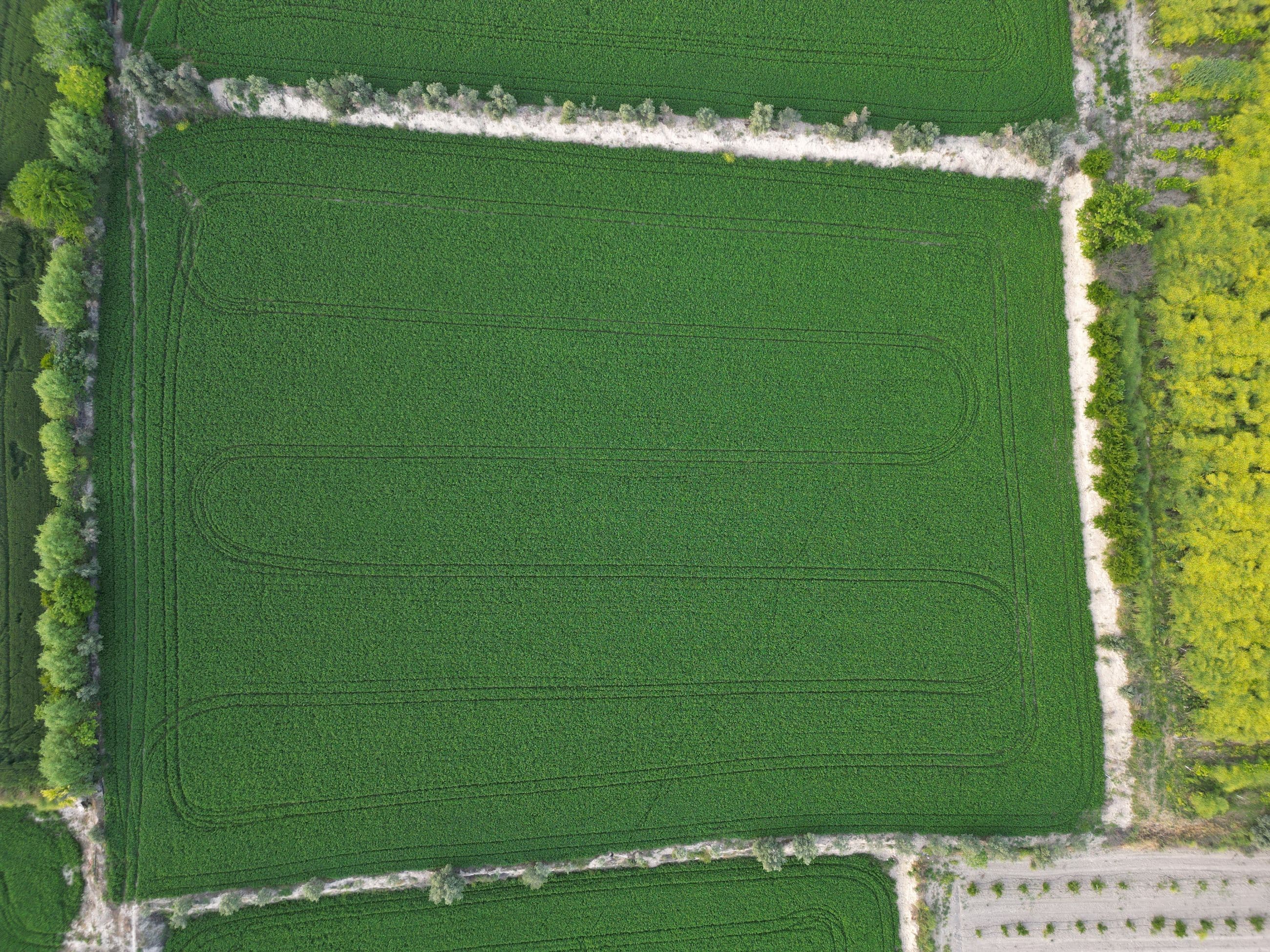 Campo coltivato visto dall’alto con il confine disegnato sopra: linea della mappa, punti rilevati, confine ricostruito e picchetti