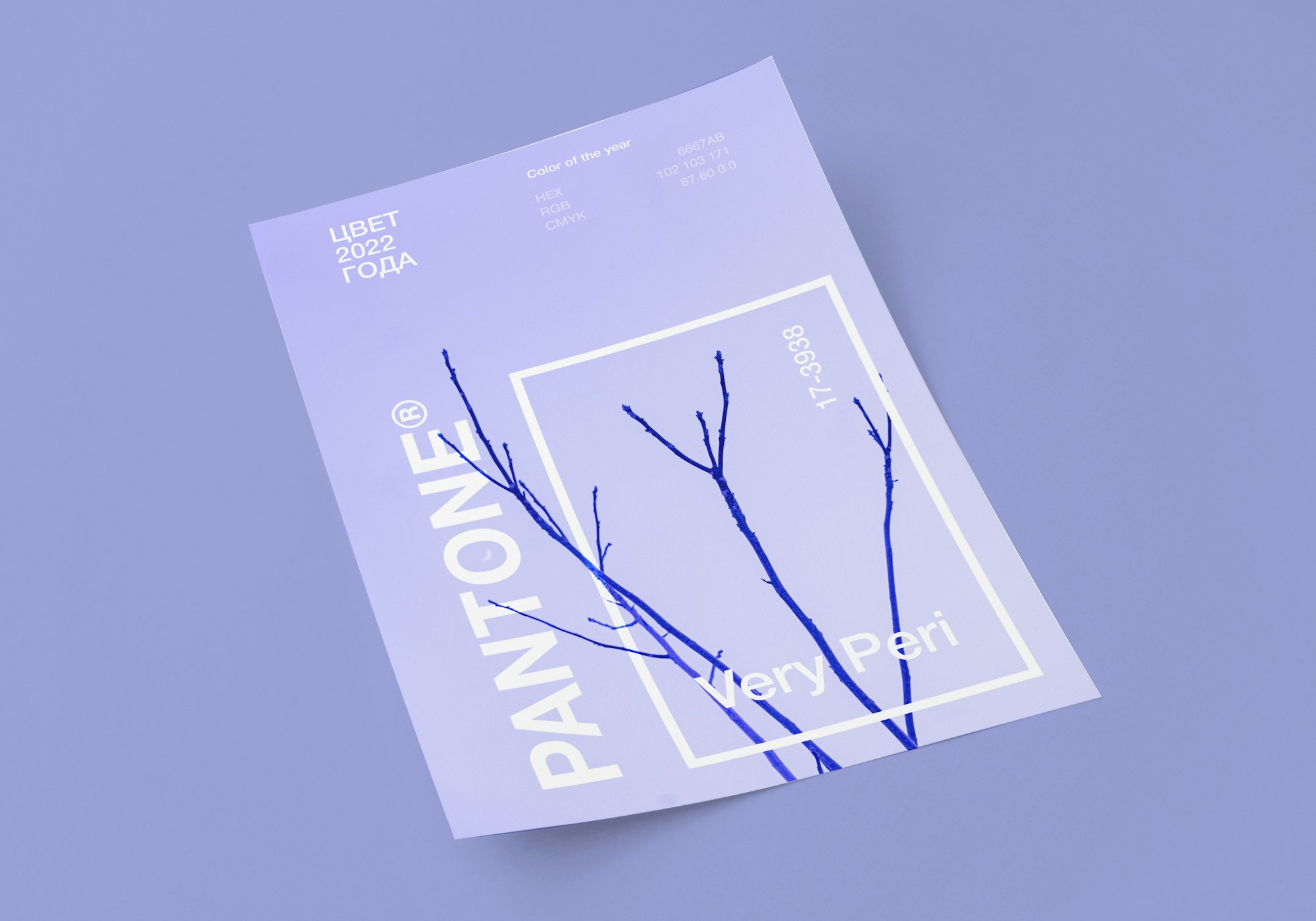 Volantino stampato su fondo lilla