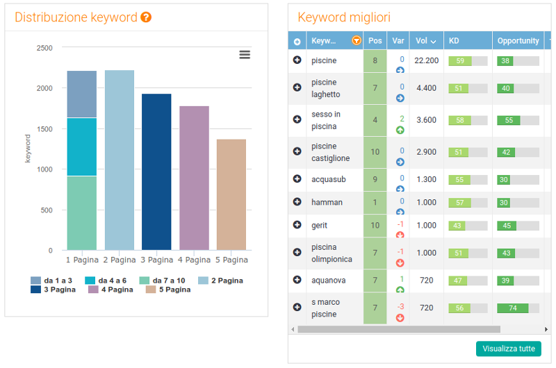 Distribuzione delle keyword posizionate dal sito directory guidapiscine.it