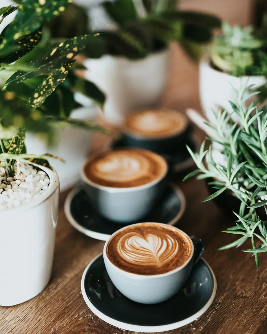 Tre cappuccini con la schiuma disegnata sul bancone