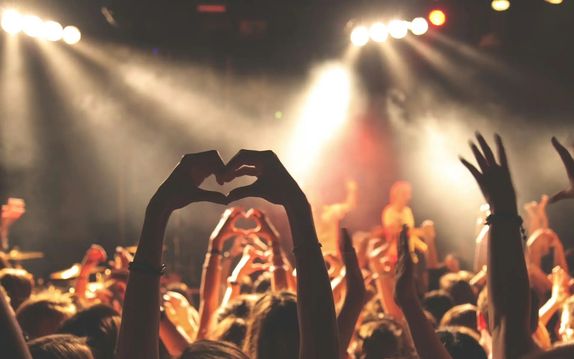Pubblico che fa il cuore con le mani sotto il palco