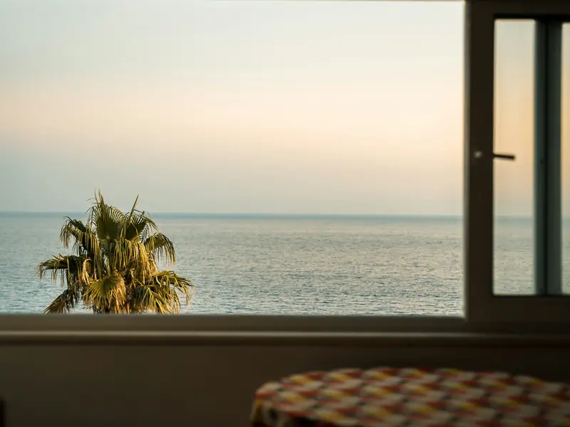 Finestra sul mare calmo al tramonto con una palma