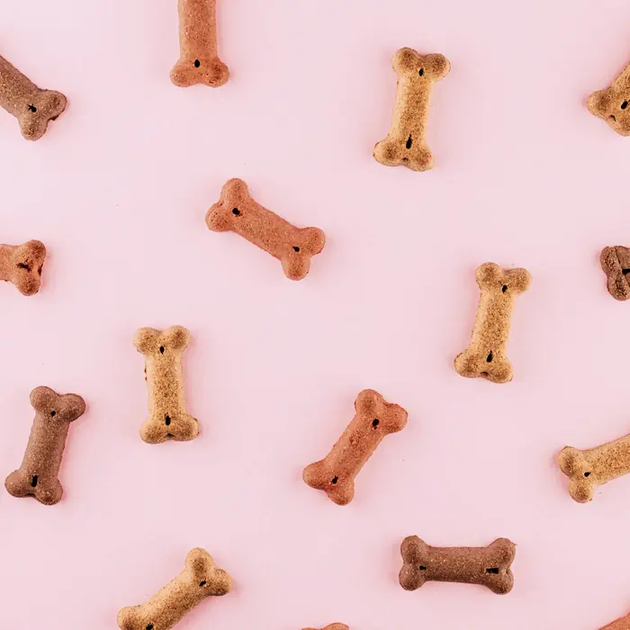 Biscotti a forma di osso su sfondo rosa