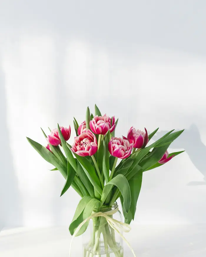 Tulipani rosa in un barattolo di vetro
