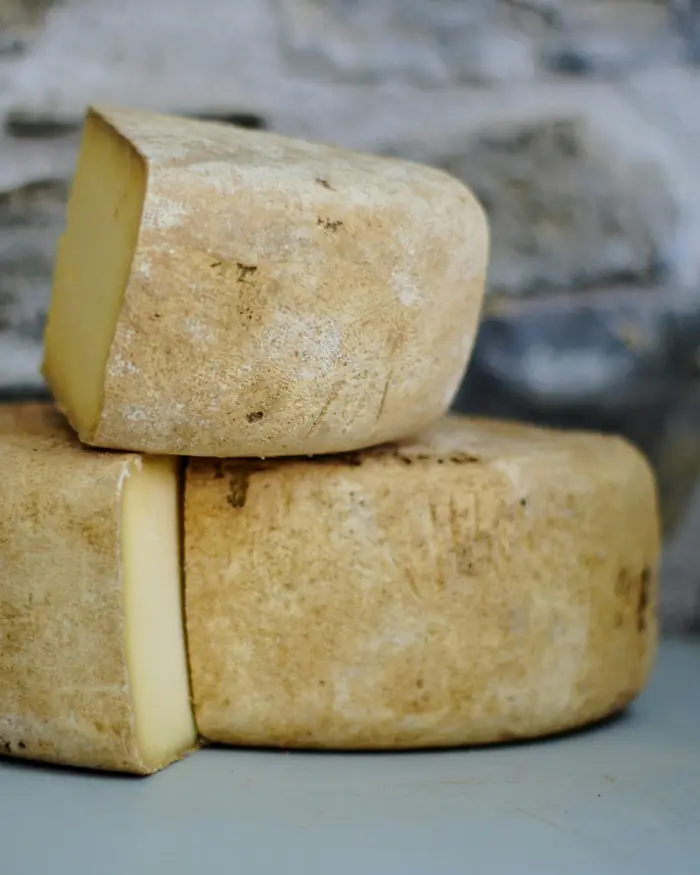Forme di pecorino stagionato