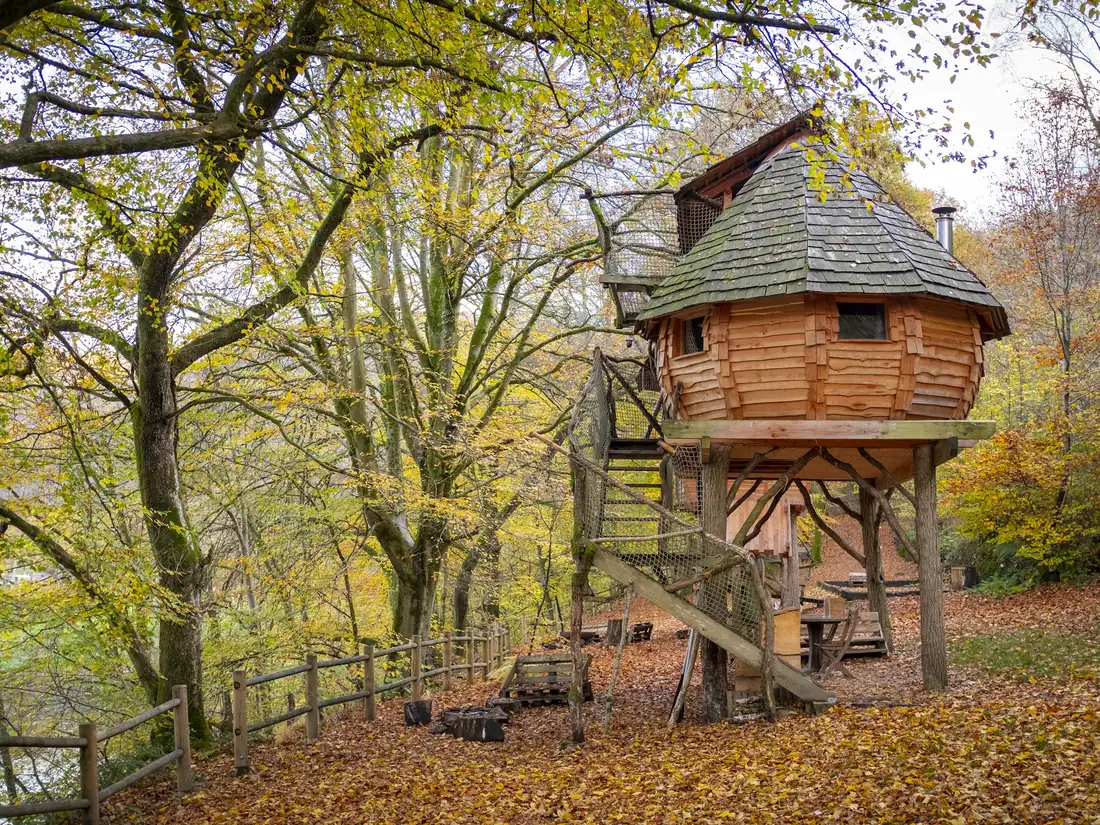 Casetta di legno sull'albero nel bosco