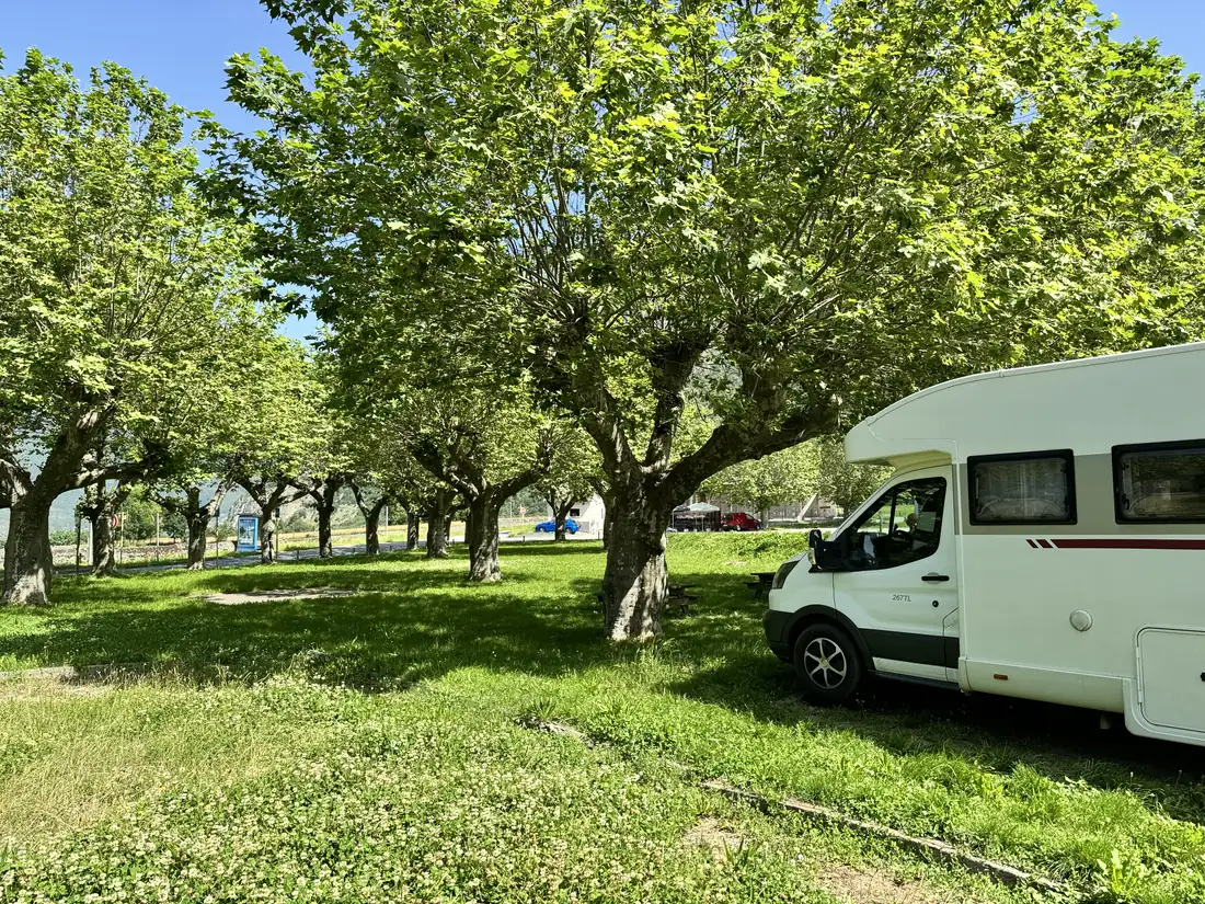 Camper su una piazzola erbosa all'ombra degli alberi