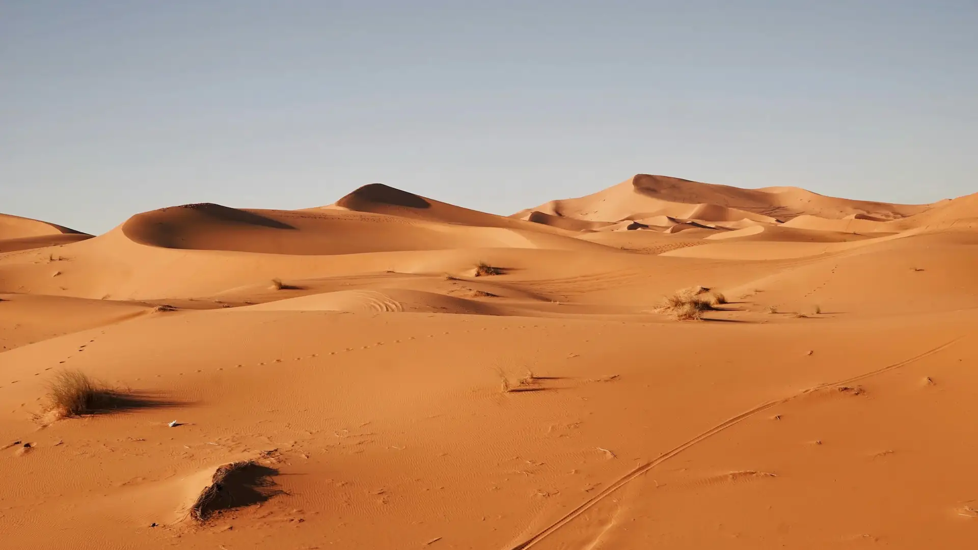 Dune del deserto del Sahara in Marocco