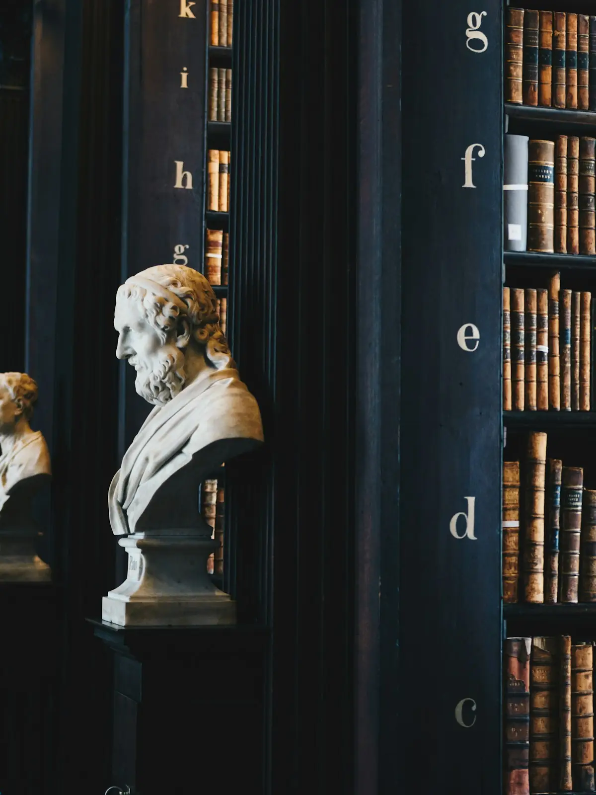 Biblioteca giuridica con busti in marmo e scaffali di codici