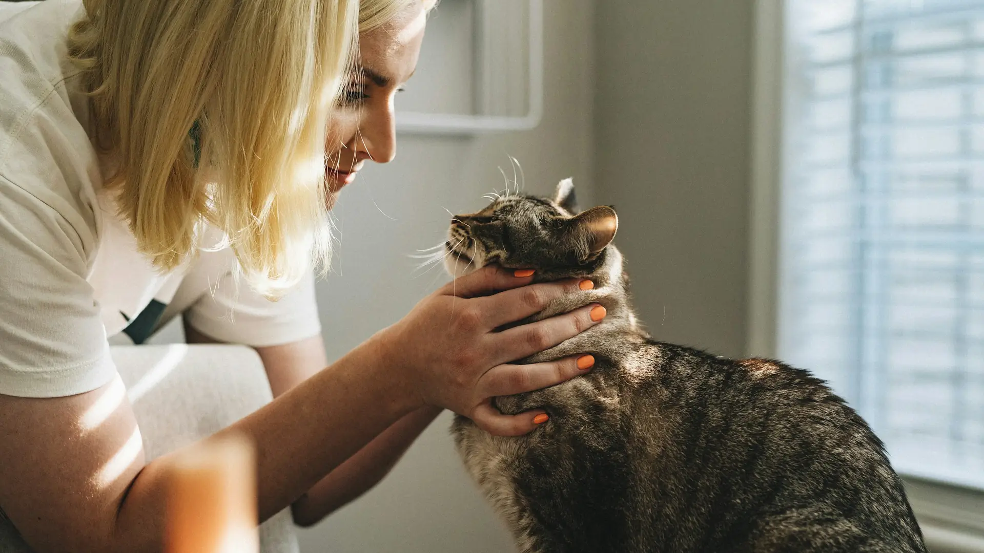Una ragazza accarezza il suo gatto vicino alla finestra