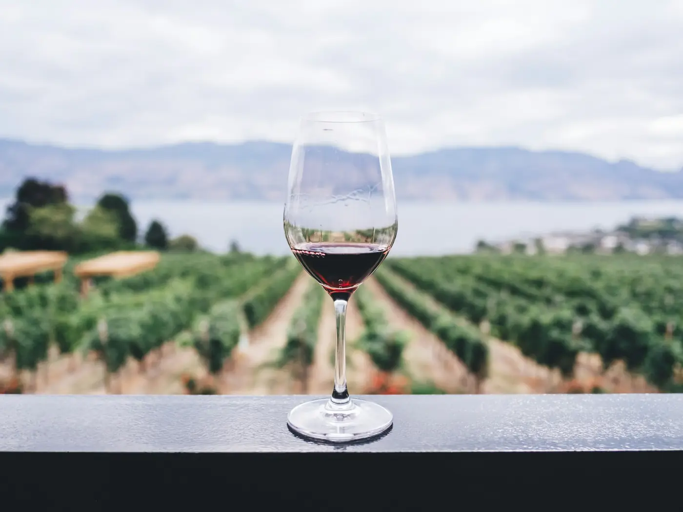 Calice di vino rosso davanti alle vigne e al lago